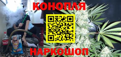 прущие грибы Ставрополь