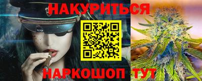 прущие грибы Ставрополь