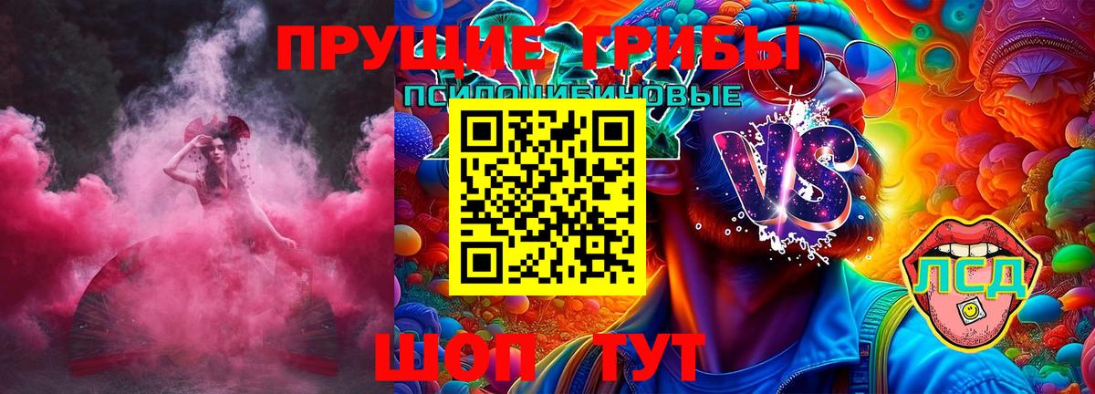 Галлюциногенные грибы Psilocybine cubensis  Вход с VPN  Тверь 