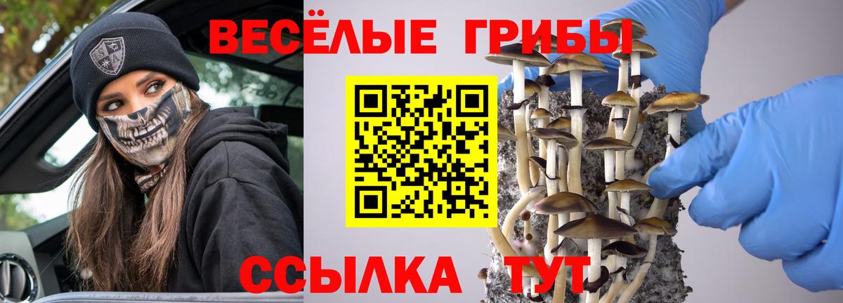 Галлюциногенные грибы мицелий Тверь